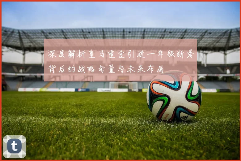 深度解析皇马重金引进一年级新秀背后的战略考量与未来布局